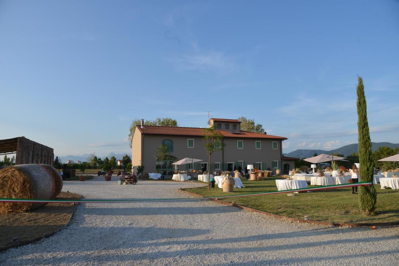 피사 Fattoria L'Olmetto 빌라 외부 사진